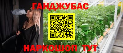 амф Новокубанск