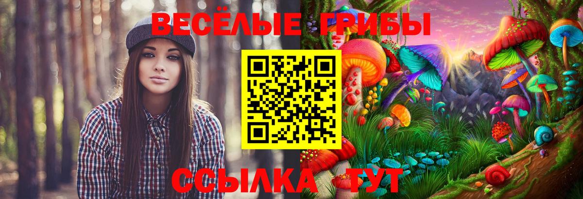Псилоцибиновые грибы ЛСД  Вход с VPN  Сосновый Бор 