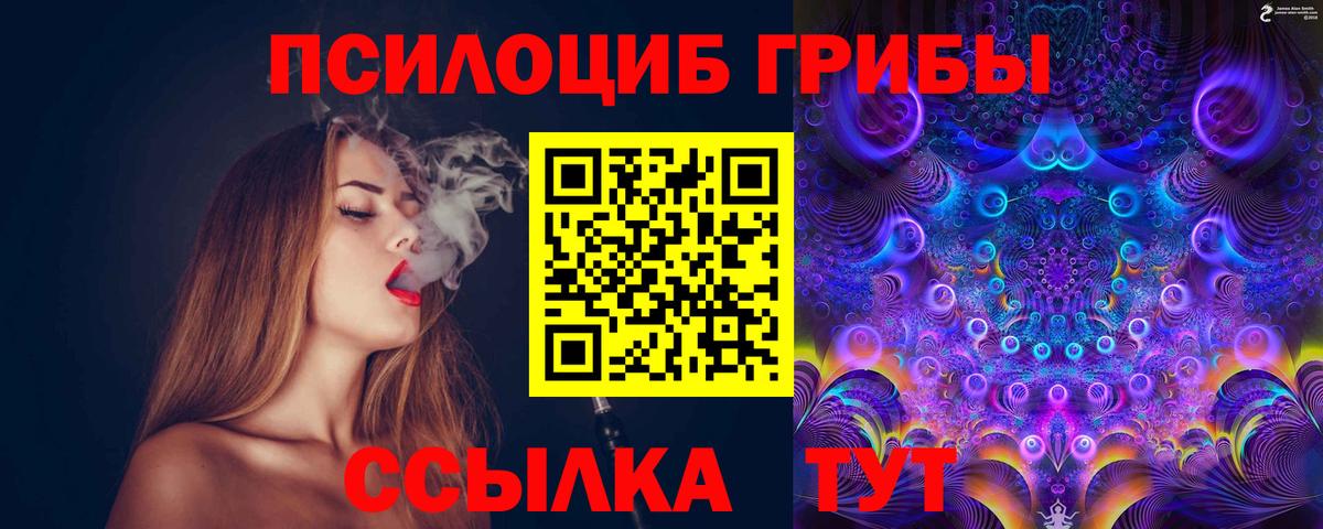 Галлюциногенные грибы прущие грибы Сосновый Бор